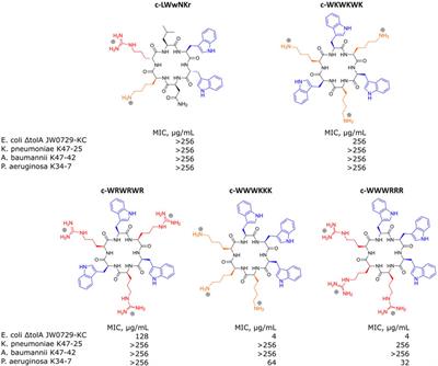 Bacterial extracellular vesicles: towards realistic models for bacterial membranes in molecular interaction studies by surface plasmon resonance